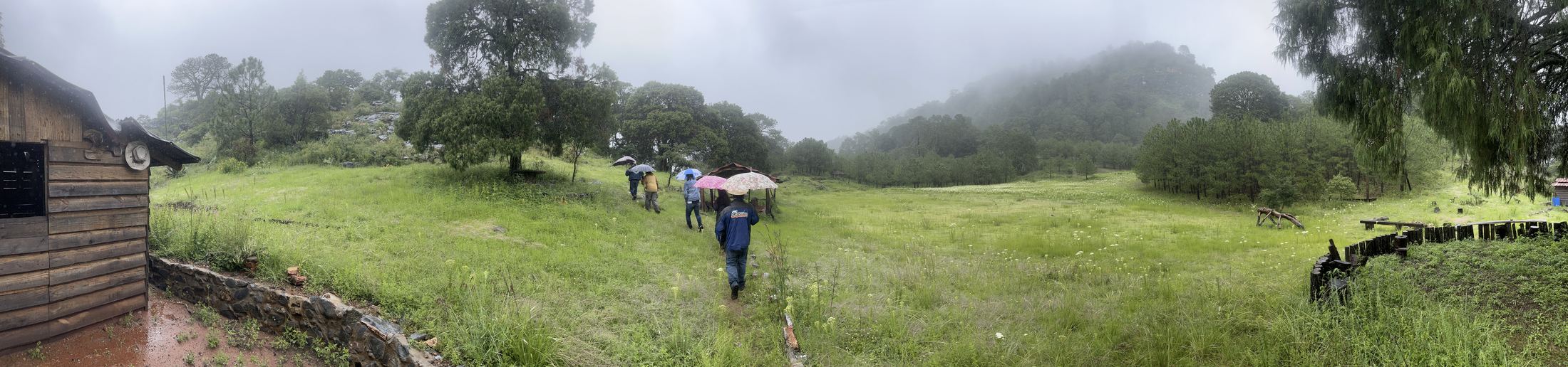 Campo en niebla, equipo de Solución Rural caminando hacia una sesión de trabajo rural