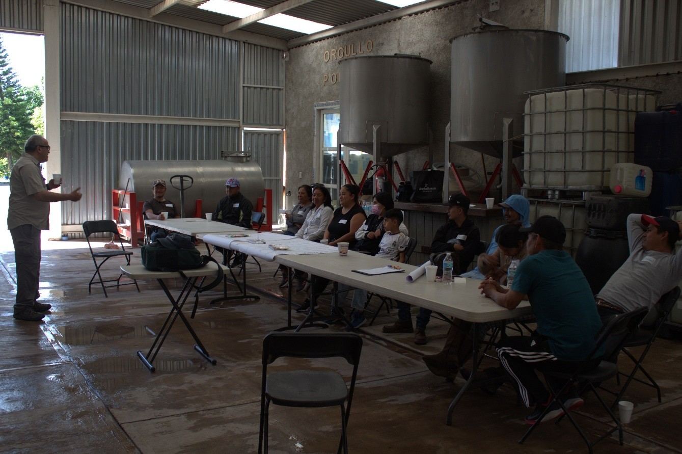 Sesión de capacitación bajo techo de palma con un grupo de productores